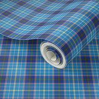 Texas bluebonnet tartan, 2" bright