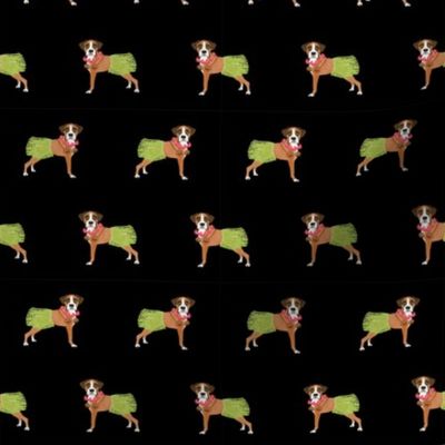 boxer dog hula dancer fabric - hula dog, cute boxer dog fabric, boxers - black