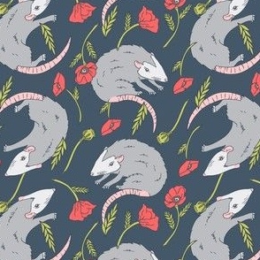 Possums and Poppies