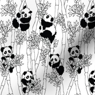 bamboo panda, no color 