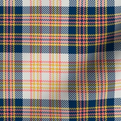 08416083 : tartan : spoonflower0482