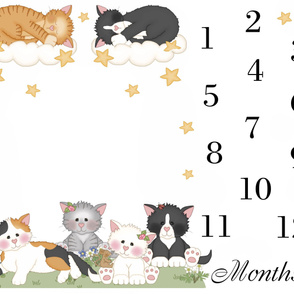 Cat Kitten Baby Girl Month Blanket