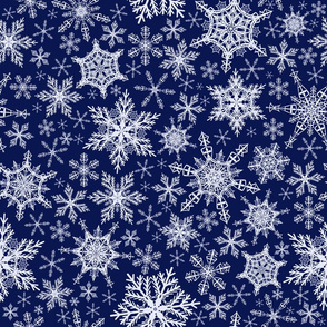 Magic night snowflakes