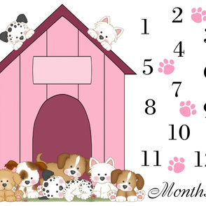 Puppy Dog Baby Girl Month Blanket