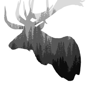 elk profile2 panel