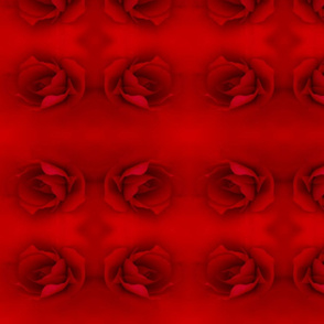 Solid Red Rose Pattern