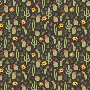 cacti and sunshine