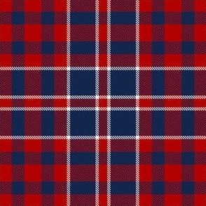 Mostly Red with White and Dark Blue Plaid Patriotic America