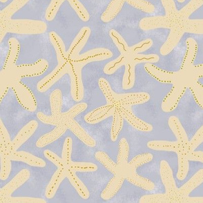 Painted Sea Stars | Bee Dance