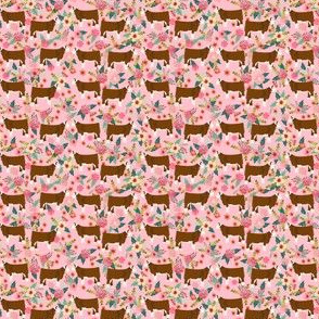 TINY - hereford cattle floral fabric - floral cow print, cow fabric, hereford cow fabric, -  pink