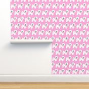 Bichon Frise dog, pink bows