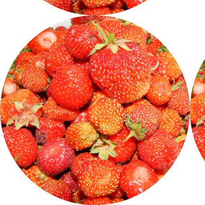 Collect strawberries in the garden and vegetable garden 