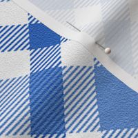 Blue and White Plaid on the Diagonal