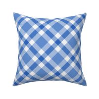 Blue and White Plaid on the Diagonal