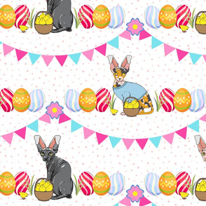 Easter Sphynx Cats