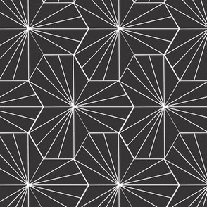 Black Hex Lines