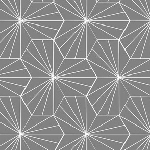 Gray Hex Lines