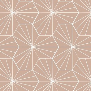 Pink Hex Lines