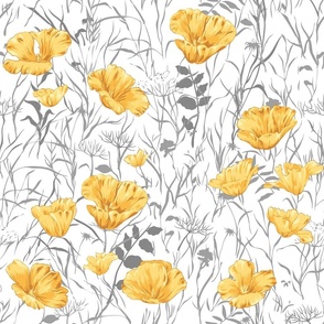 Yellow California Poppy field