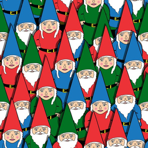 lots of gnomes