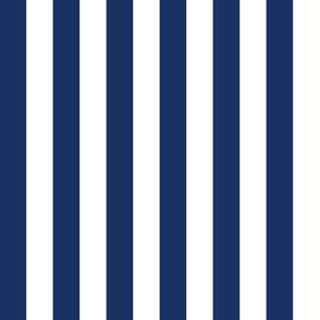 Blue & White Stripes