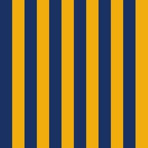 Blue & Yellow Stripes