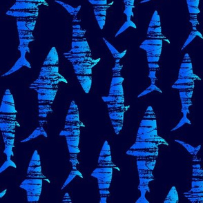 grunge tiger sharks - midnight blue (rotated)