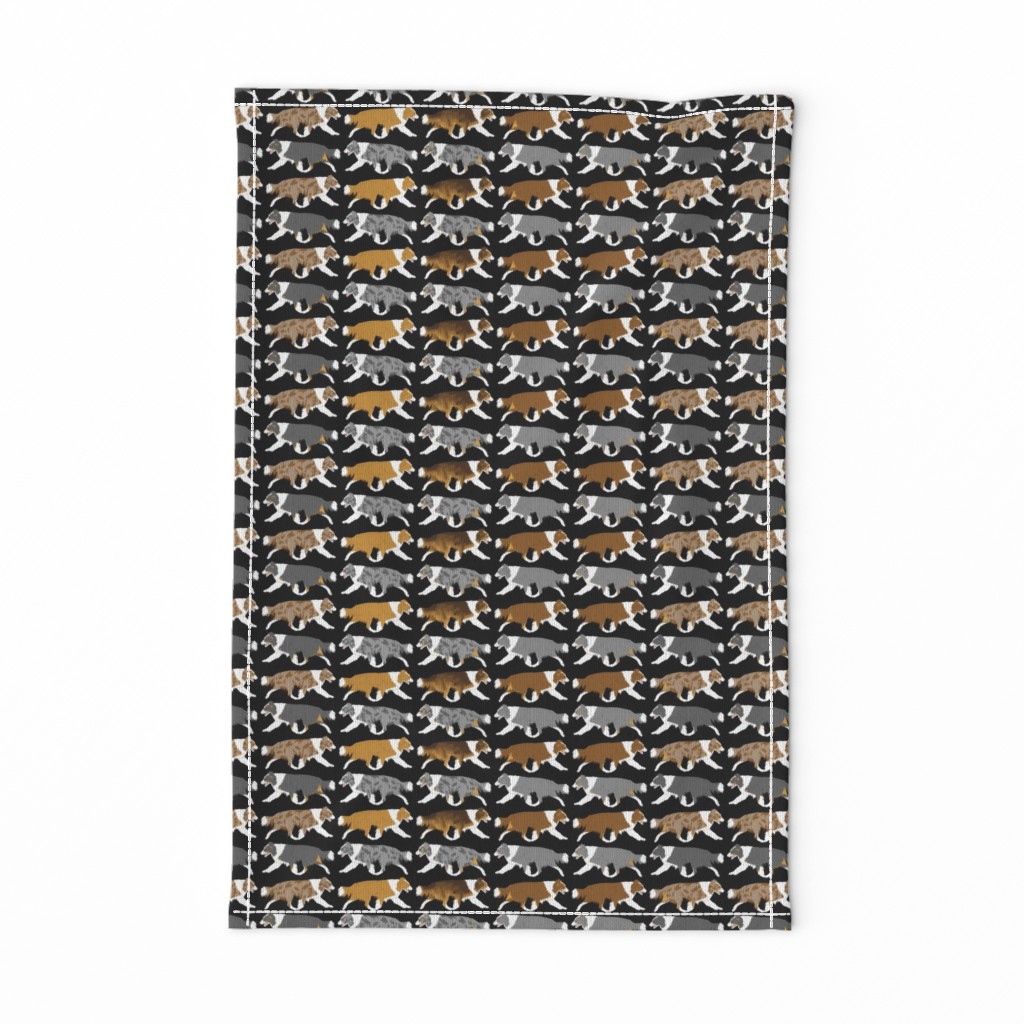 Small Trotting full color Border Collie border - black