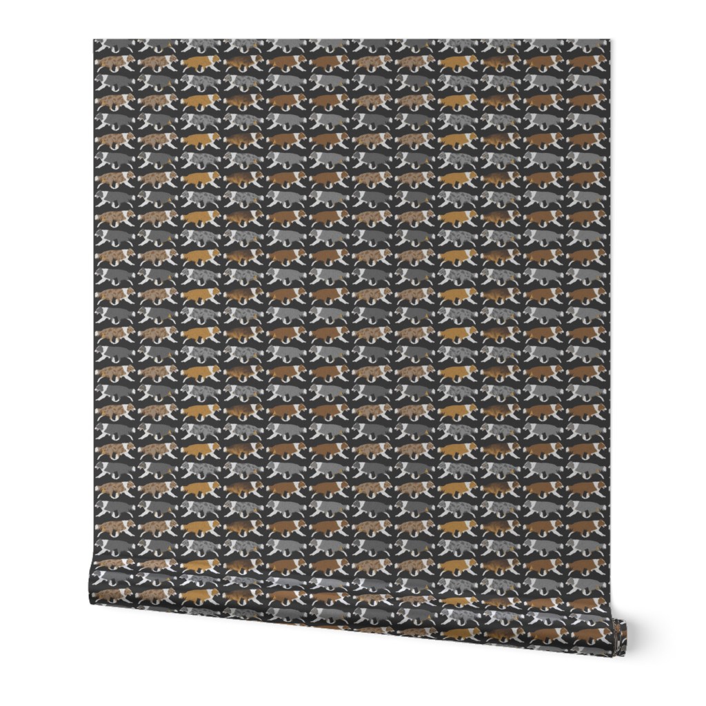 Small Trotting full color Border Collie border - black