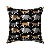 Trotting rough & smooth Collies border - black