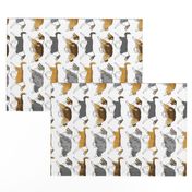 Trotting rough & smooth Collies border vertical - white