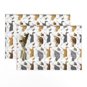 Trotting rough & smooth Collies border vertical - white