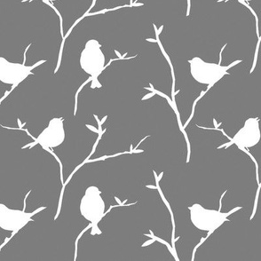 Gray Birds