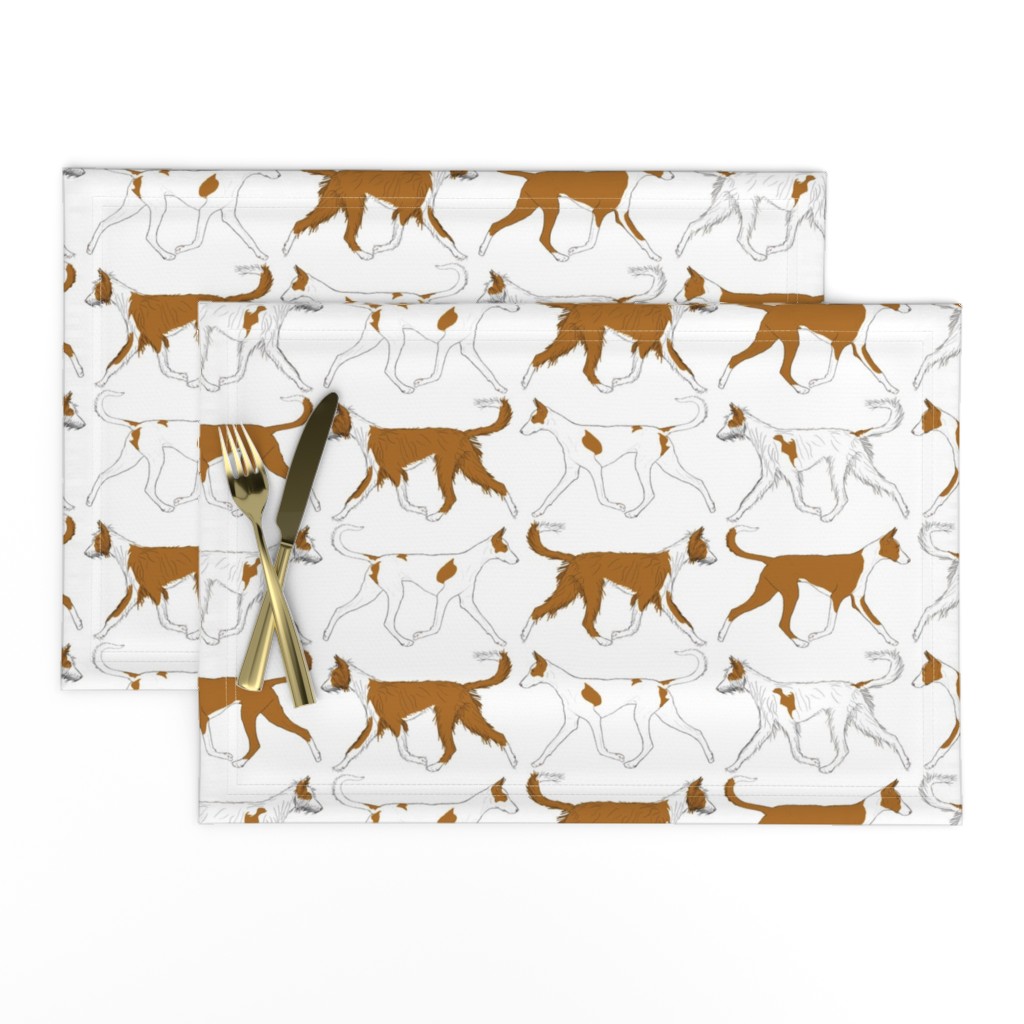 Trotting Ibizan hound border - white