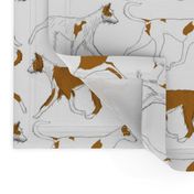 Trotting Ibizan hound border - white