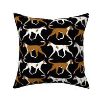 Trotting Ibizan hound border - black