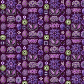 Ernst Haeckel Ascidiae Purple
