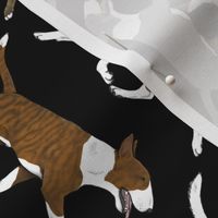 Trotting Miniature Bull Terrier border vertical - black