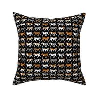 Small Trotting Rat terrier border - black