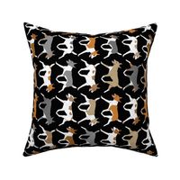 Trotting Rat terrier border vertical - black