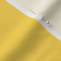 Aspen Gold Yellow Solid-2019 Color of the year