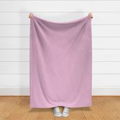 PINK LIGHT SOLID Sweet Lilac Light Pink Solid-2019 Color of the year