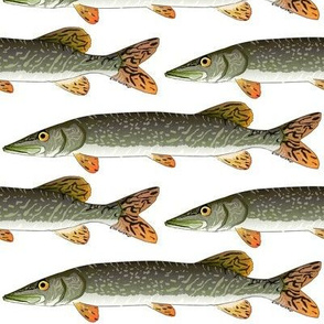 Northern Pike v2