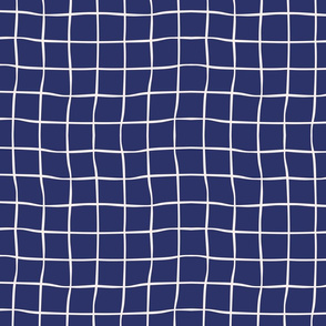 windowpane check-navy