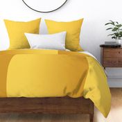 GOLD YELLOW GRADIENT Aspen Gold Mango Mojito Orange Gradient-2019 Color of the year-01-01-01-01-01