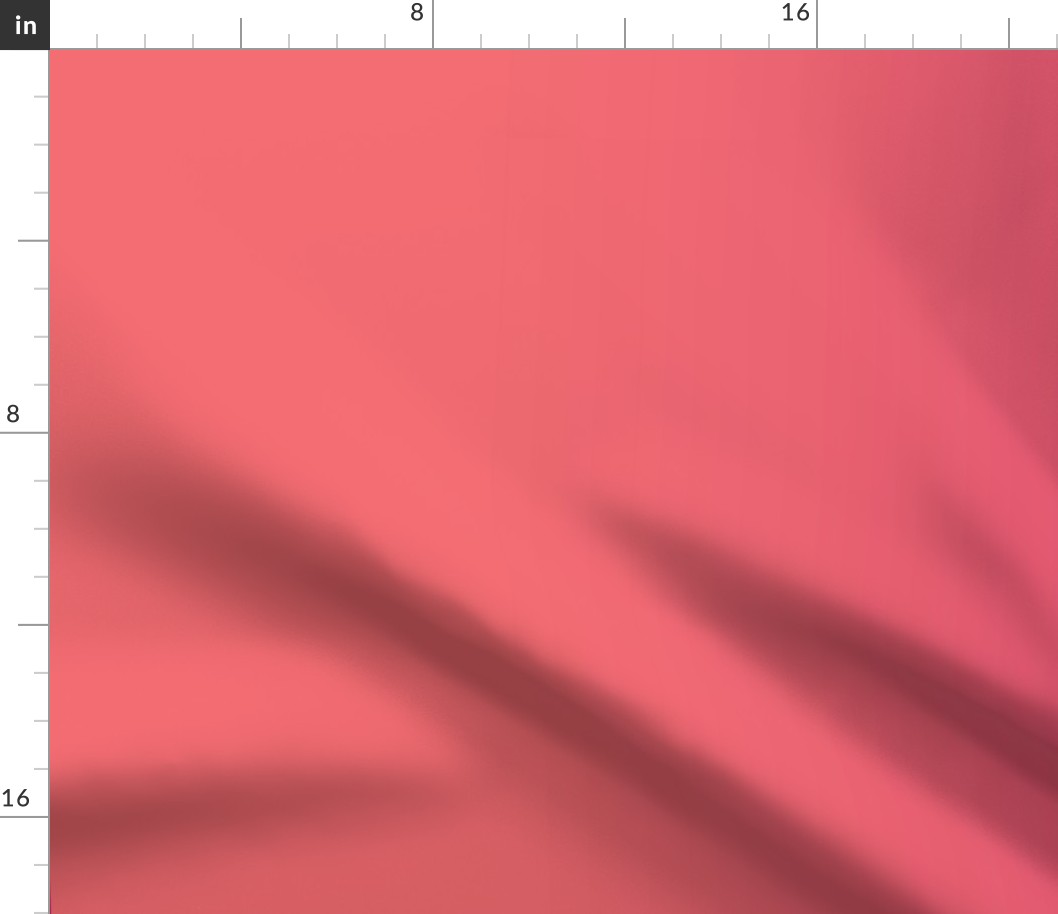 Living Coral Pink Peacock Gradient-2019 Color of the year-01-01
