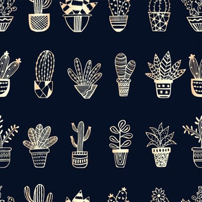 potted succulents navy and gold