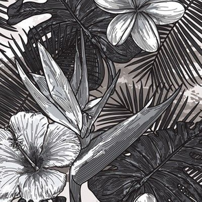 Black and White Tropical Plants