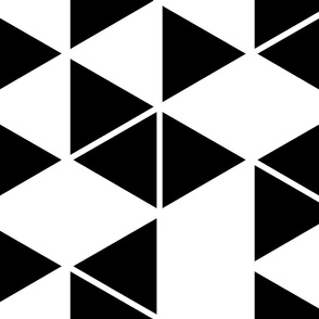 Black and White Geometric Hexagon Triangle Pattern