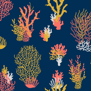 Corals Limited Palette